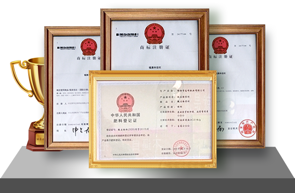 關于我們